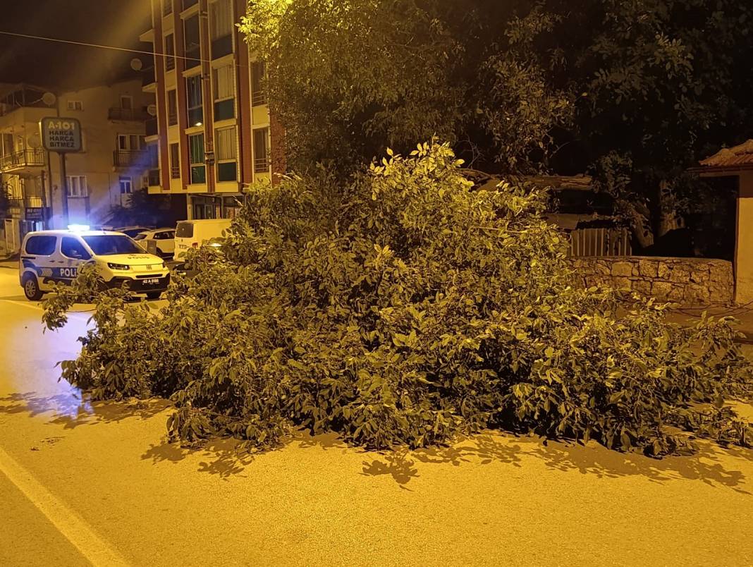 Konya'nın ilçesinde ağacın dalları yola devrildi! Yol trafiğe kapandı 2